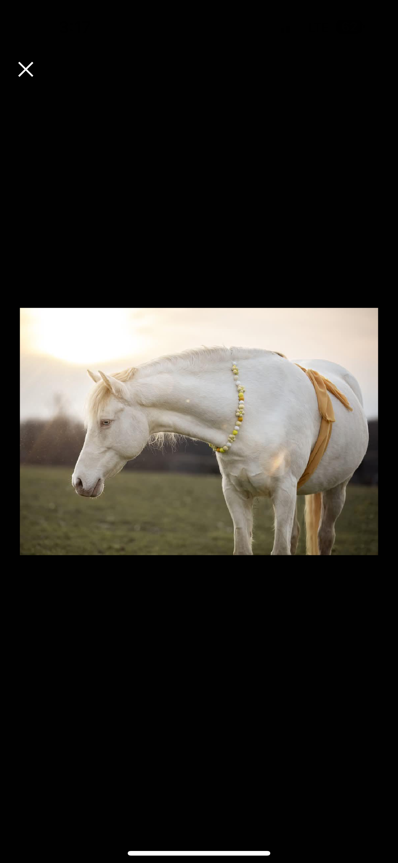 Straw Yellow Daisy Garland