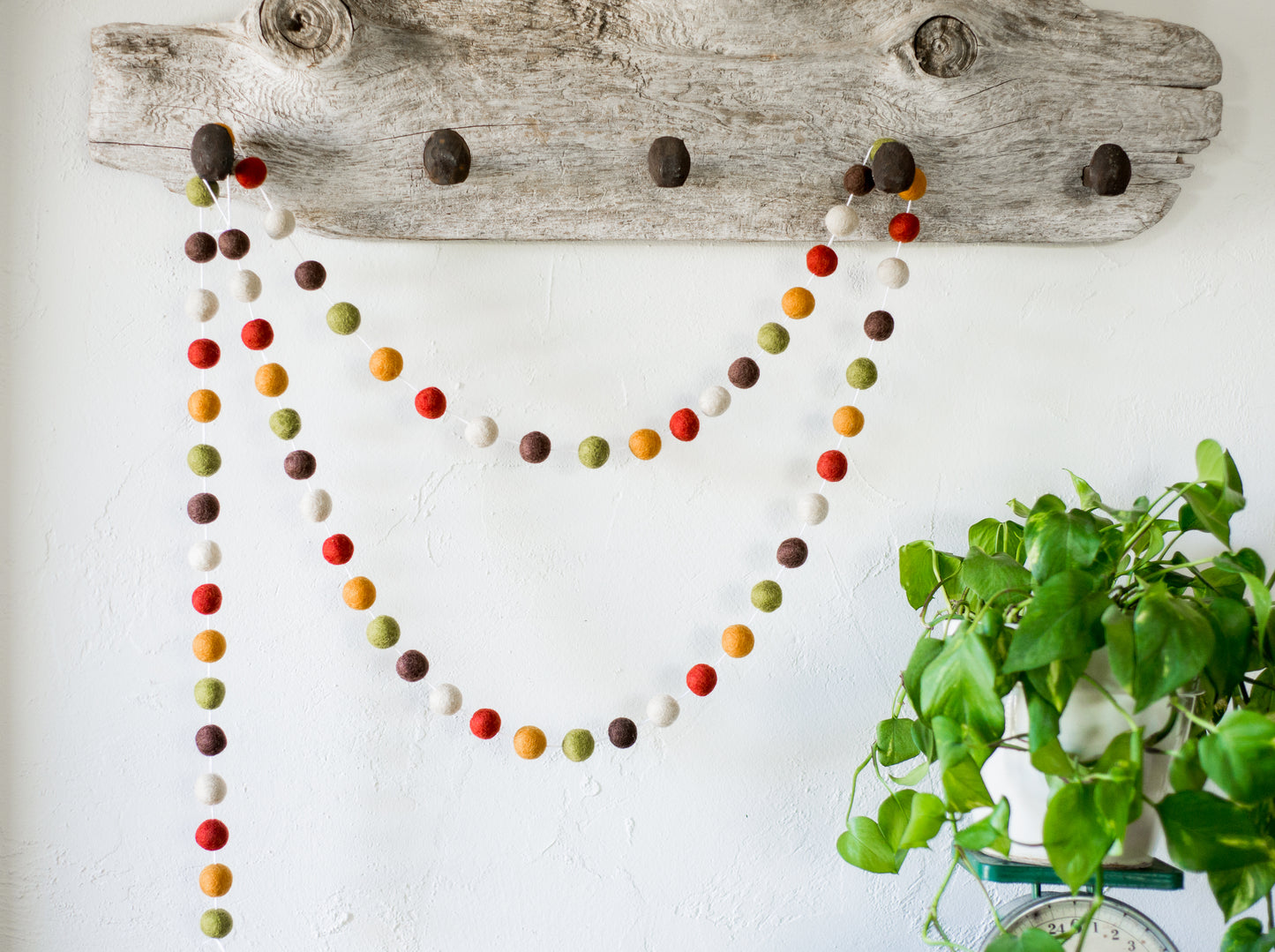 Summer Berry Felt Ball Garland