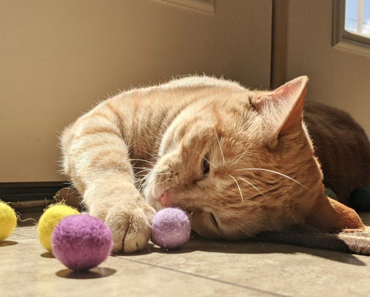 Small Solid Wool Kitten Toys