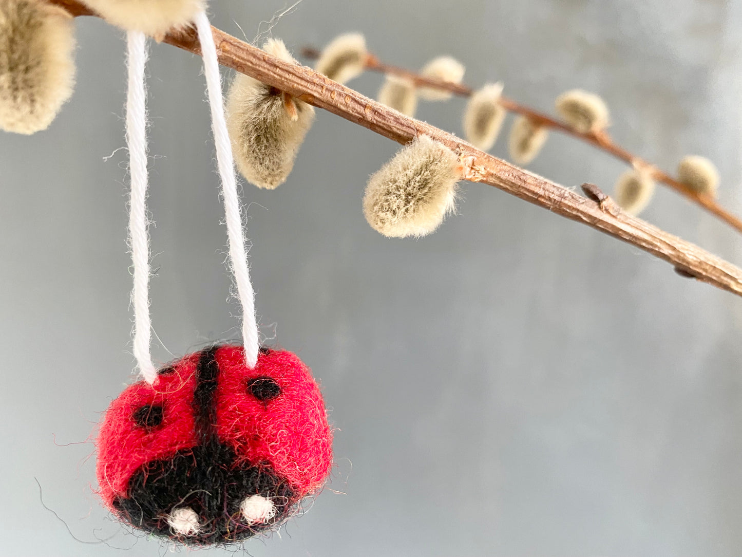 Cute Insect Ornaments