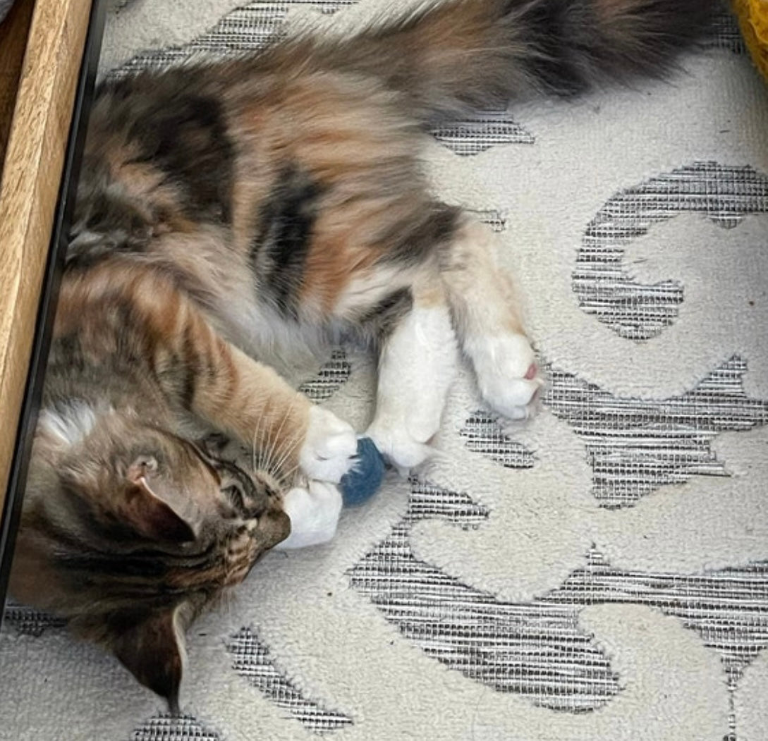 Medium Solid Wool Cat Toys