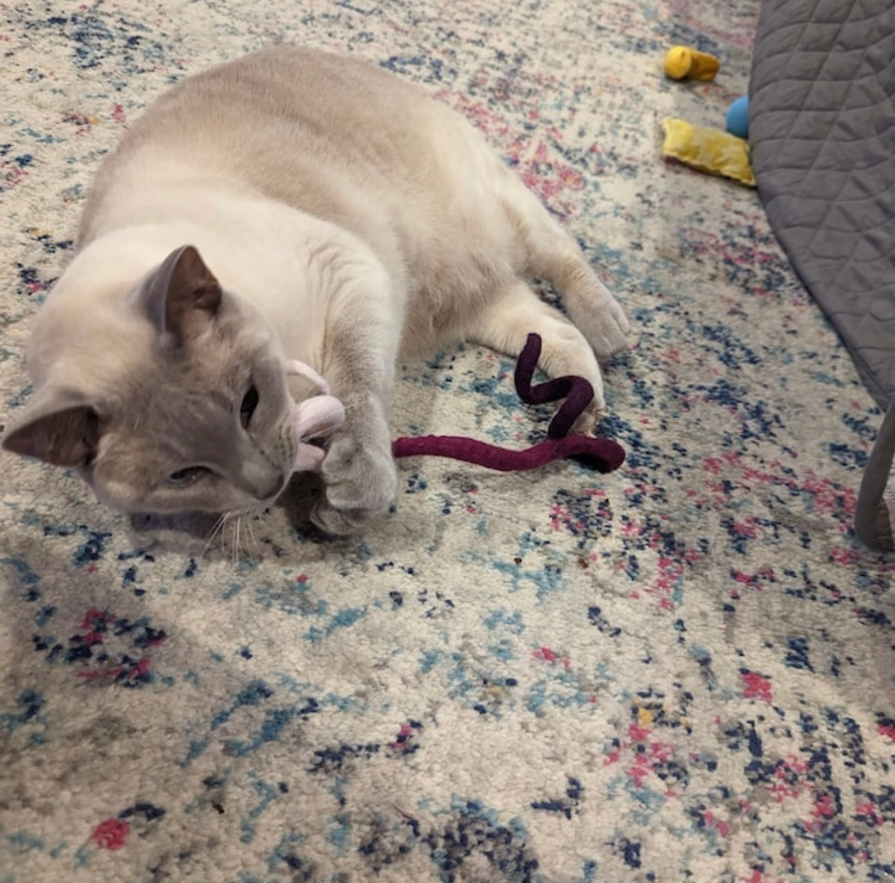 Wool Spiral Kicker Toy