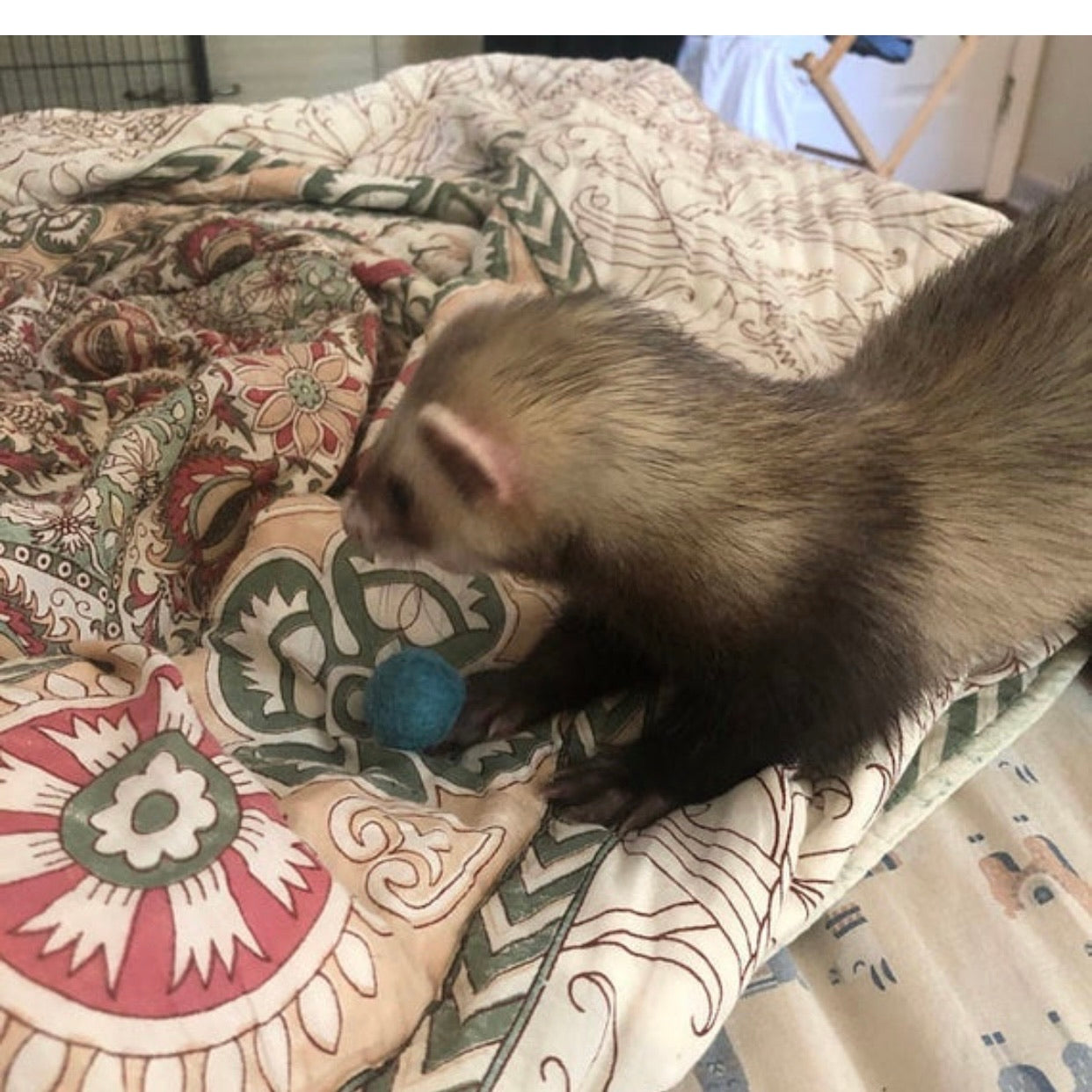Small Solid Wool Kitten Toys