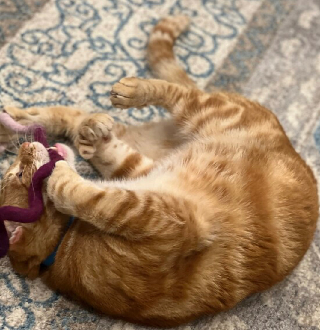 Wool Spiral Kicker Toy