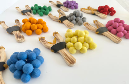 Slingshot & Solid Ammo Set