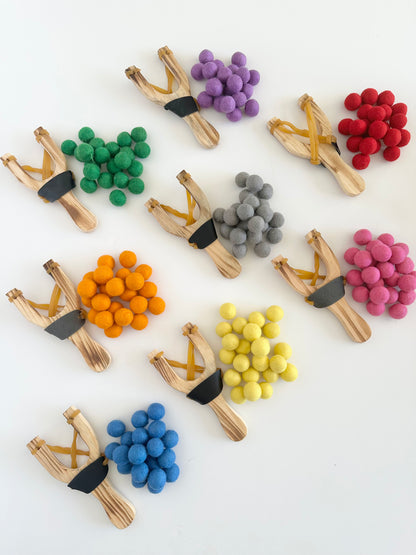 Slingshot & Solid Ammo Set