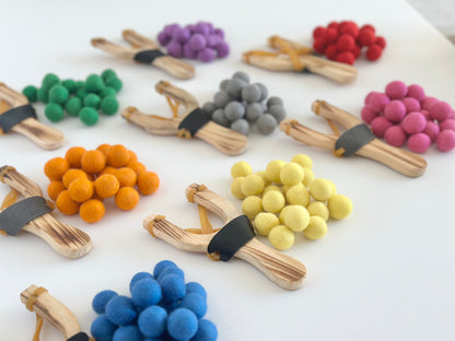 Slingshot & Solid Ammo Set