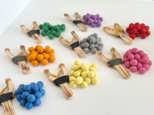 Slingshot & Solid Ammo Set