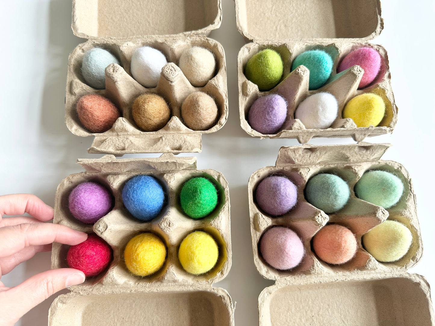 Curated Egg sets (6 eggs each)