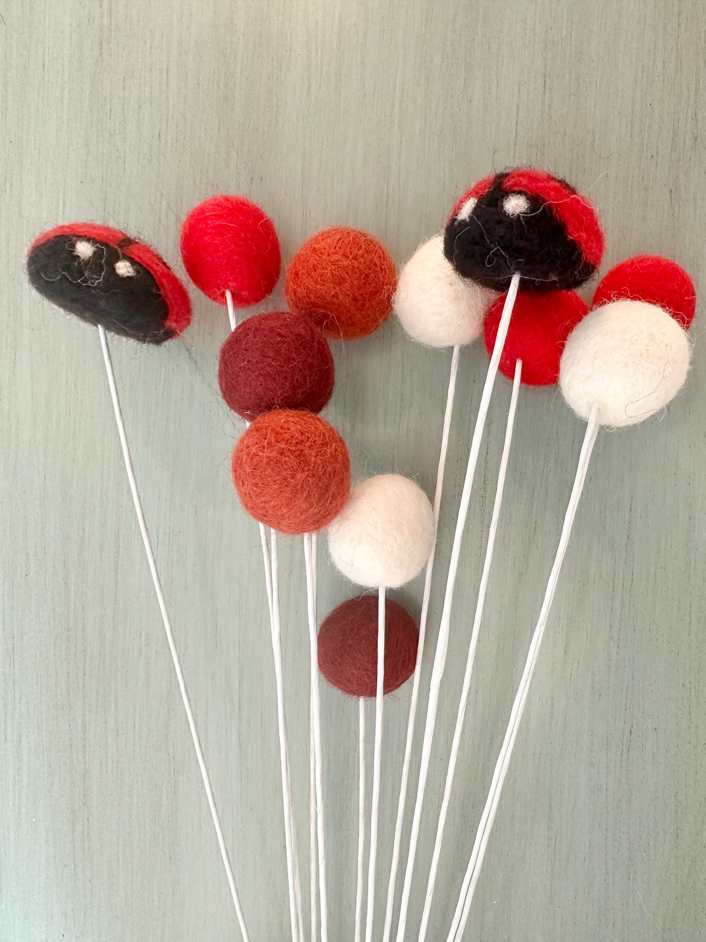 Lady Bug & Felt Ball Flower Bouquet
