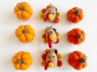 Autumn Ornaments