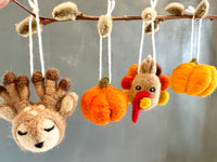 Autumn Ornaments