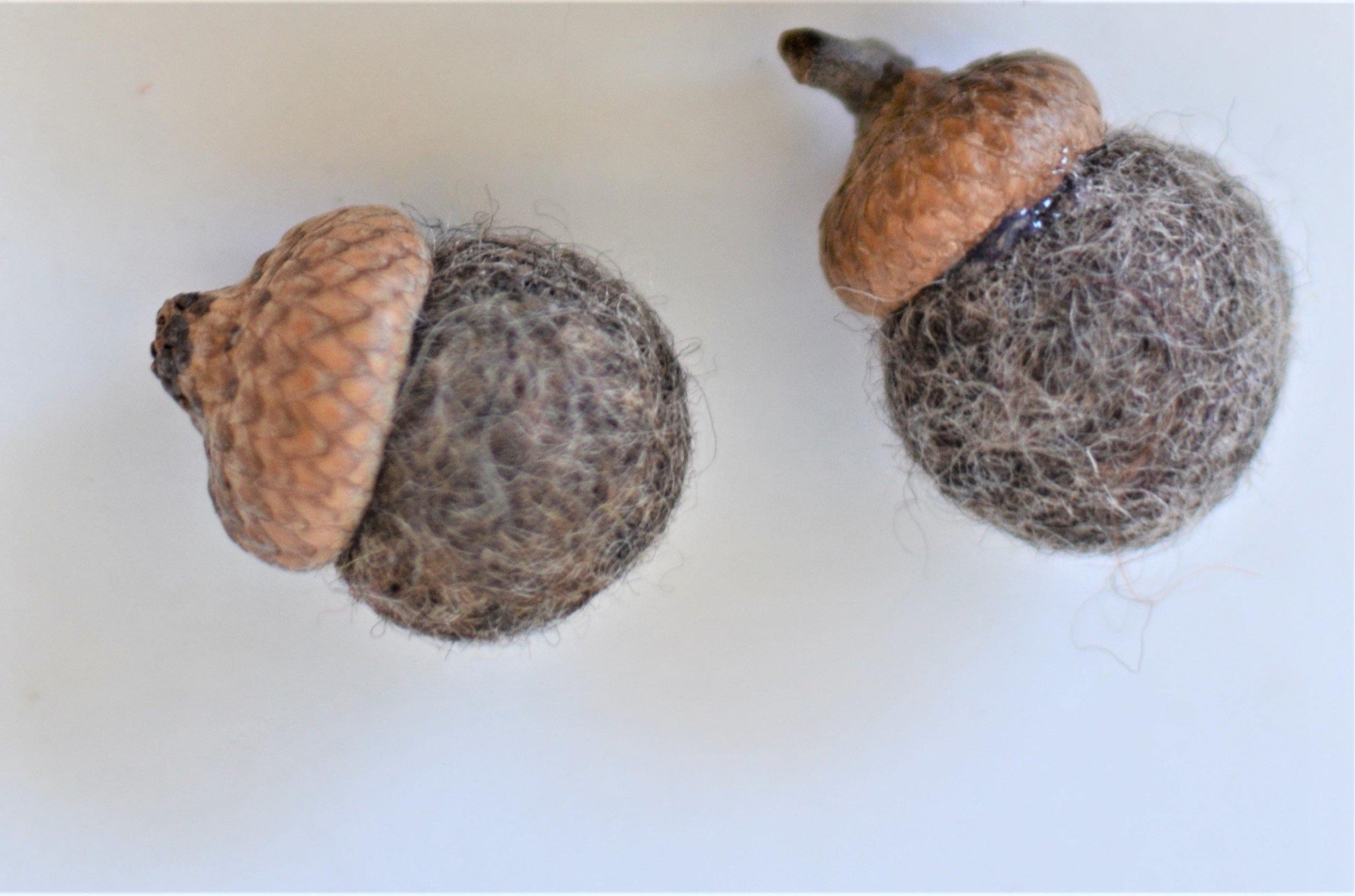 Neutrals Wool Acorns - Redheadnblue