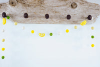 Lemonade Garland
