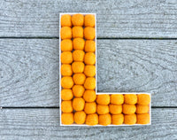 Felt Ball Letter L