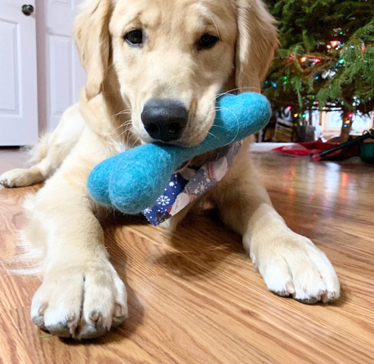 Large Solid Wool Dog Bones