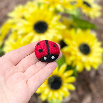 Felted Lady Bugs