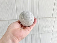 Fetch Ball for Dogs & Maine Coons