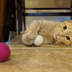 Catnip Oil for Cat Toys - Redheadnblue