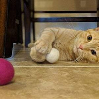 Catnip Oil for Cat Toys - Redheadnblue