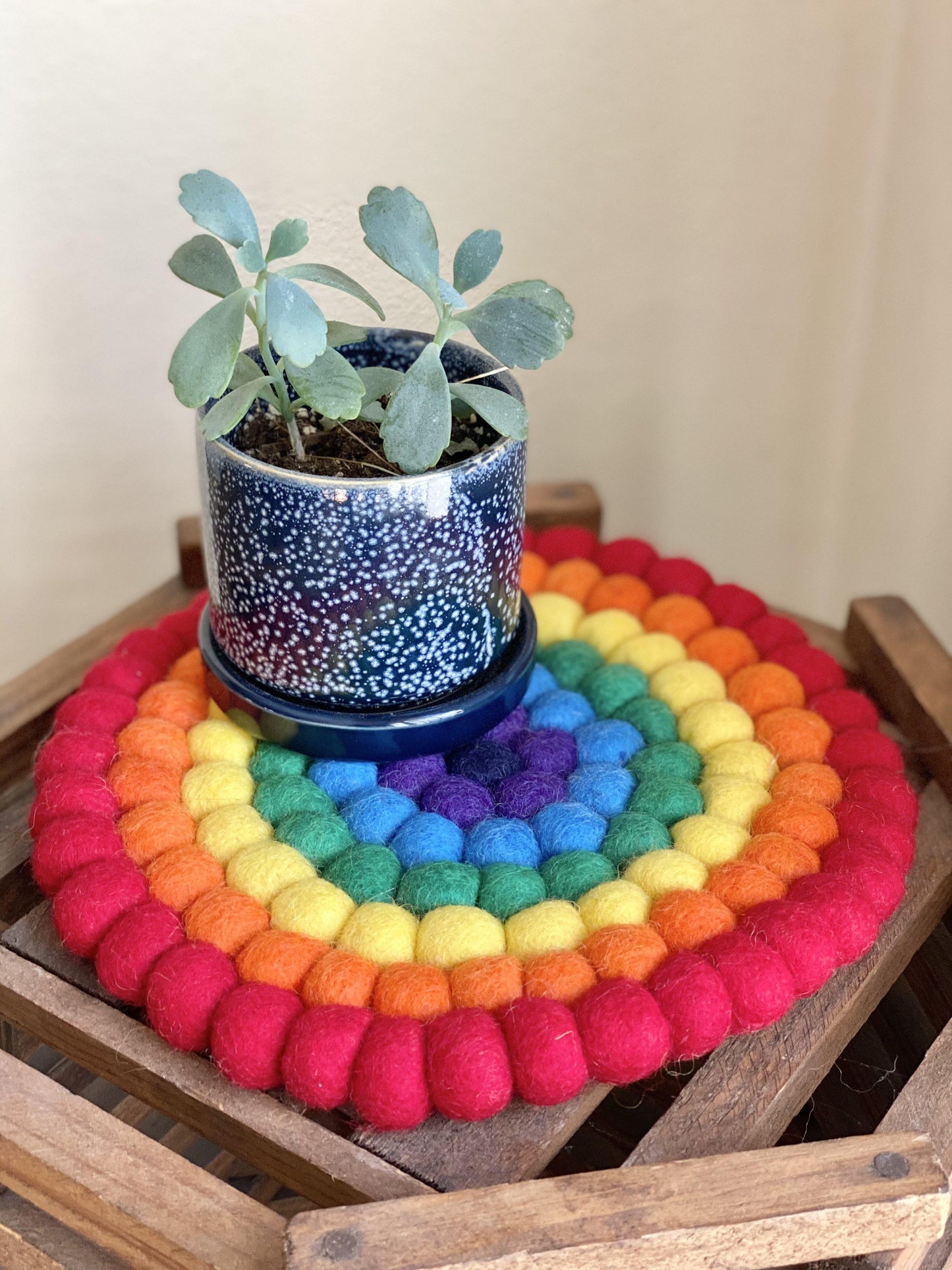 Rainbow Trivet &/or Coaster - Redheadnblue