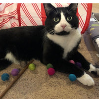 Small Solid Wool Kitten Toys