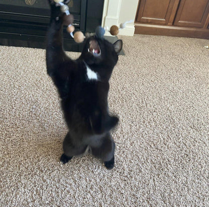 Felt Ball String Cat Toy - Redheadnblue